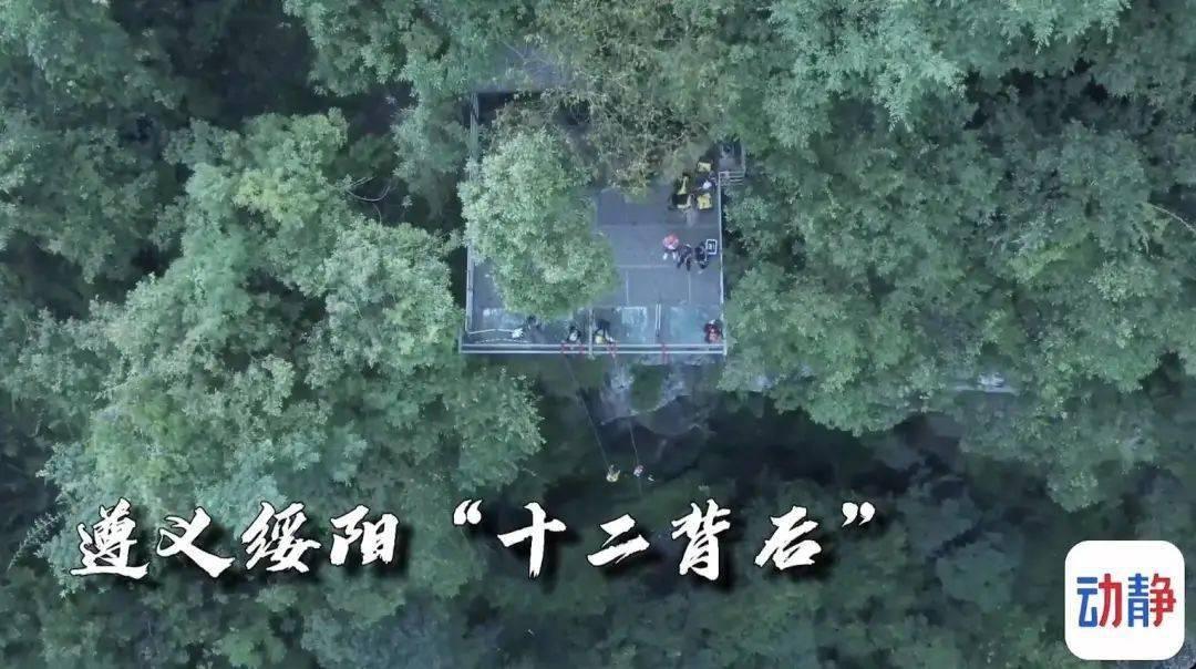 为什么老一辈总喜欢教育人？游戏画面